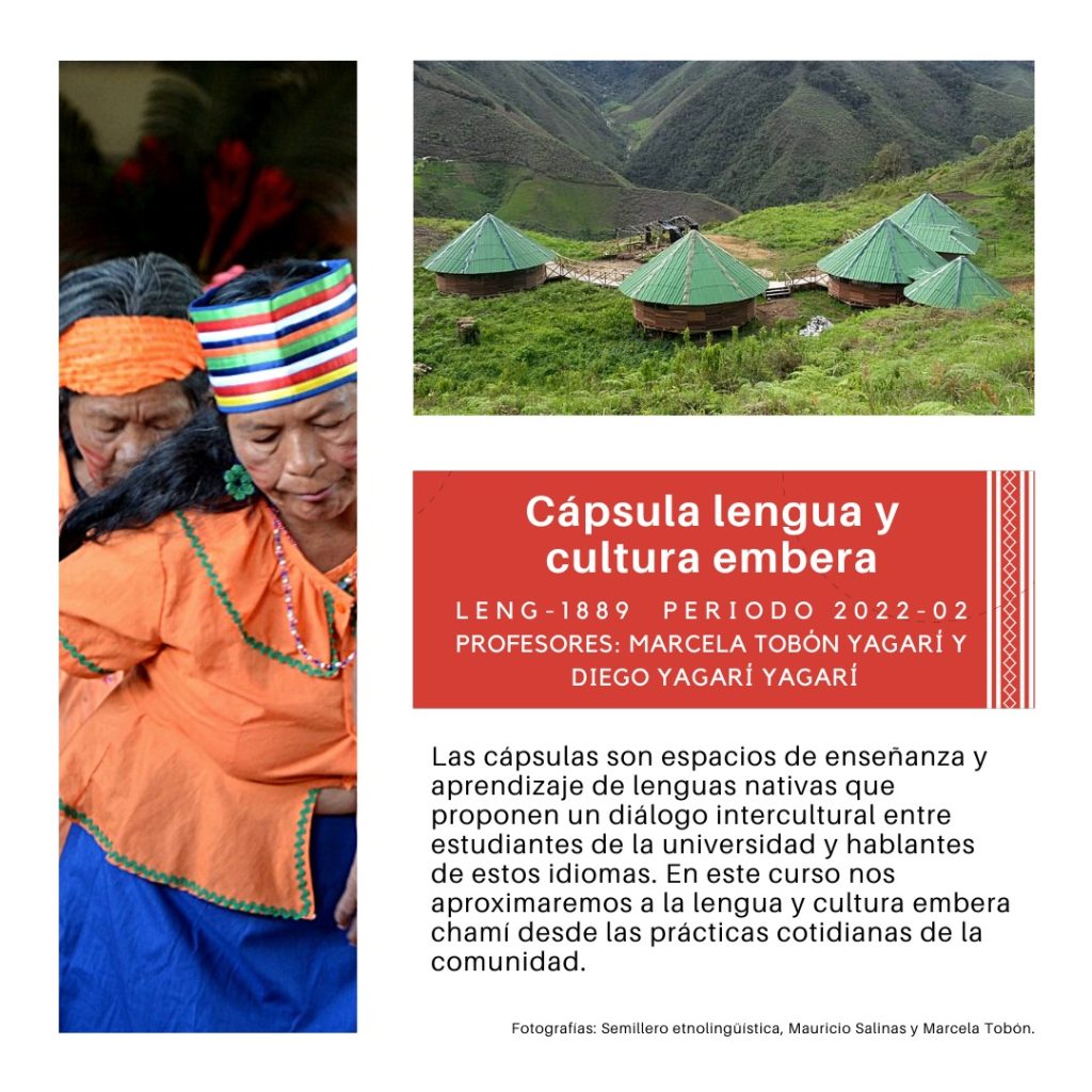 Curso para el segundo semestre del 2022